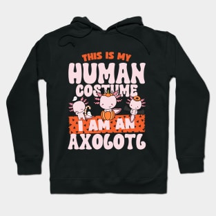 This is my human costume im  an Axolotl Hoodie